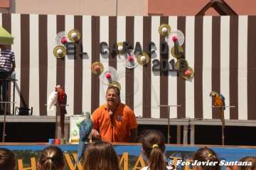 Espectáculo de aves exóticas de Paco Pluma en El Caracol (Foto Francisco Javier Santana)